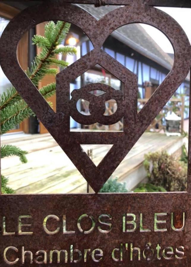 Le Clos Bleu - Gite Rural Schillersdorf Esterno foto